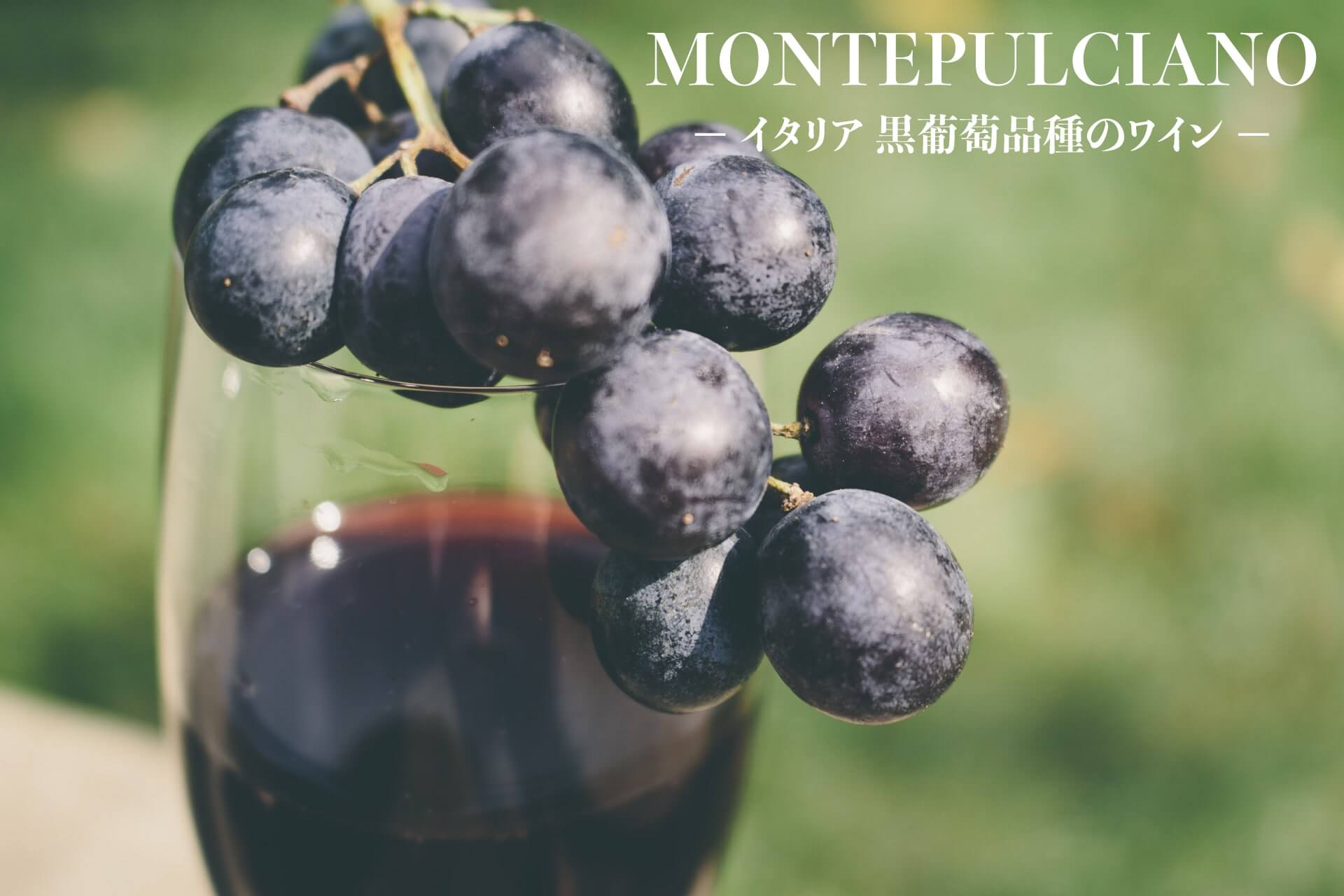 モンテプルチアーノ（ワイン）のメインビジュアルの画像